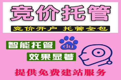 SEM广告投放的技巧与策略——成功案例分享